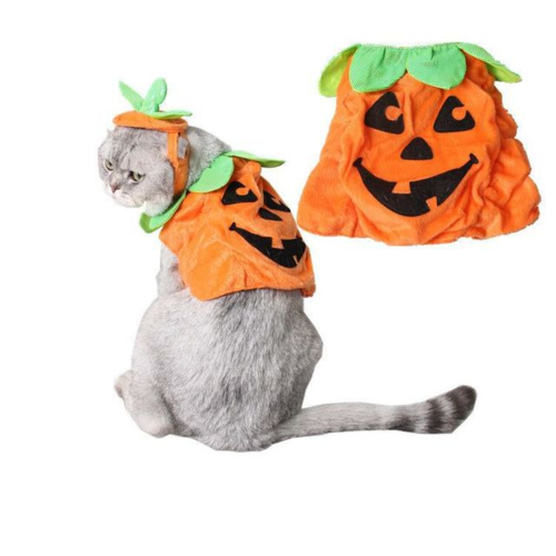 Pumpkin Pet Costume