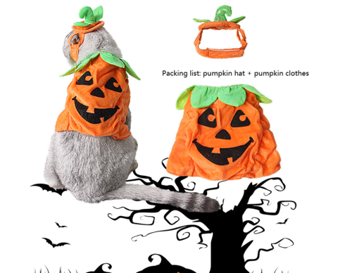Pumpkin Pet Costume