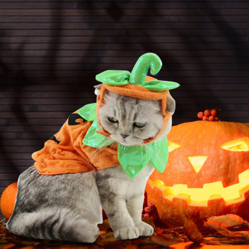 Pumpkin Pet Costume