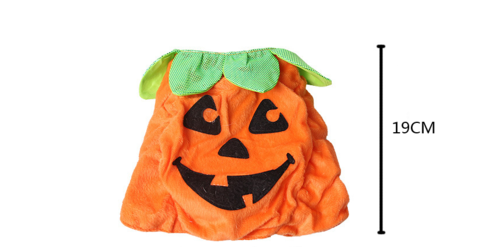 Pumpkin Pet Costume
