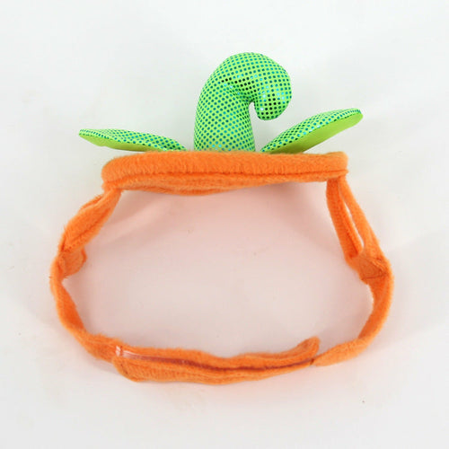 Pumpkin Pet Costume