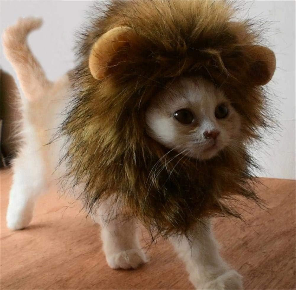 Cat Costume - Lion's Mane & Bunny 2 Pack