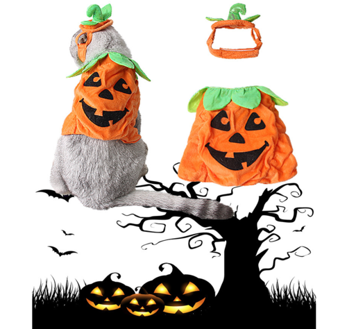 Pumpkin Pet Costume