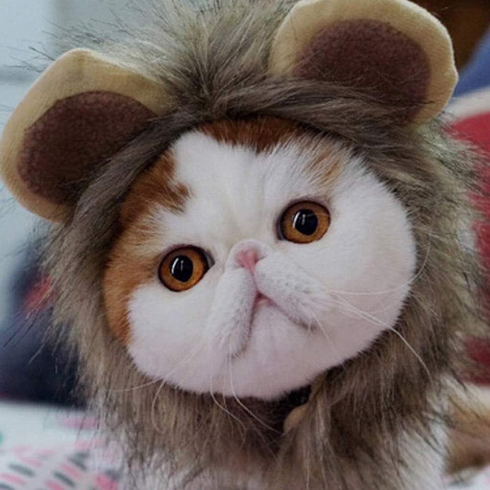 Cat Costume - Lion's Mane & Bunny 2 Pack