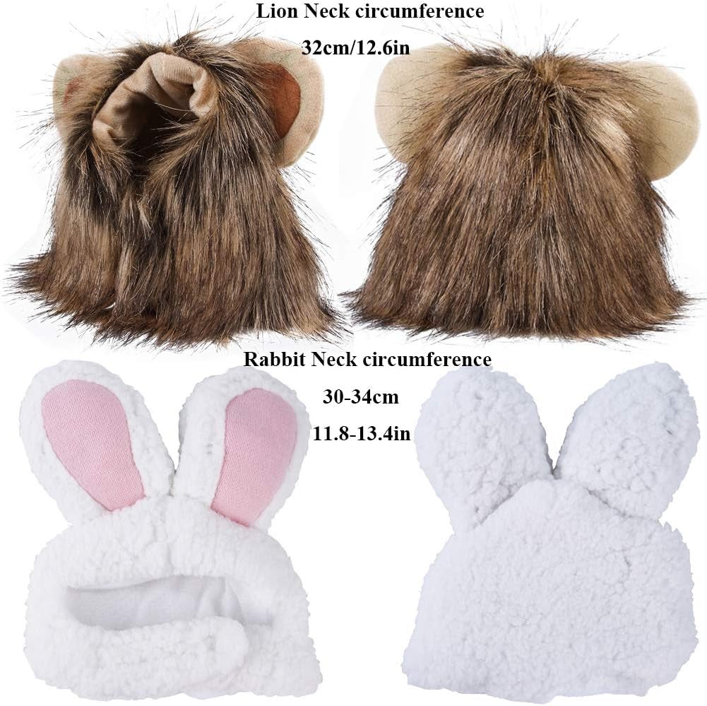 Cat Costume - Lion's Mane & Bunny 2 Pack