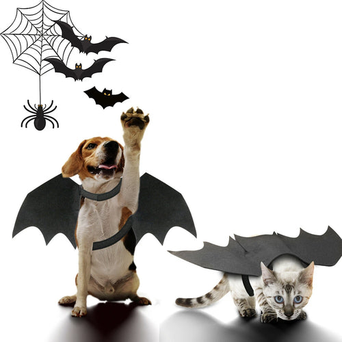 Bat Wings Pet Costume - Spooky & Adorable! 🦇