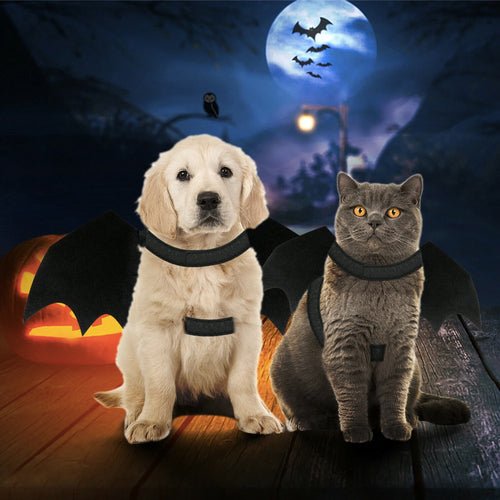 Bat Wings Pet Costume - Spooky & Adorable! 🦇