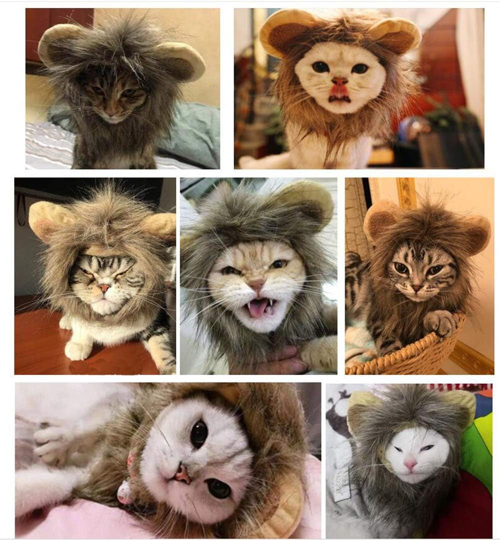 Cat Costume - Lion's Mane & Bunny 2 Pack