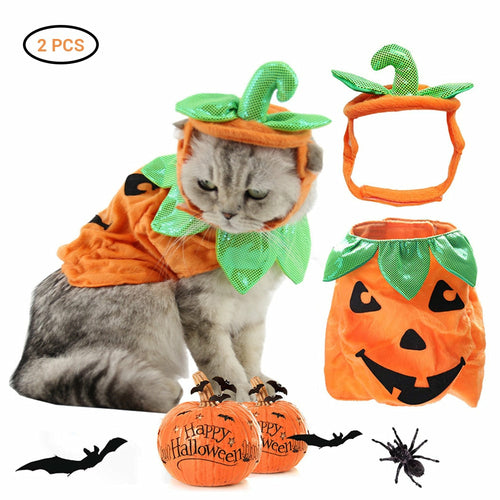 Pumpkin Pet Costume