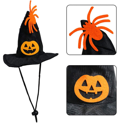 Witch Pet Costume - Spooky & Adorable! 🧙‍♀️