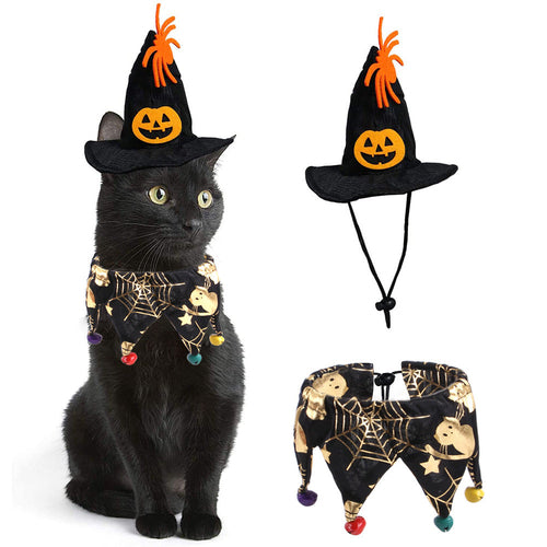 Witch Pet Costume - Spooky & Adorable! 🧙‍♀️