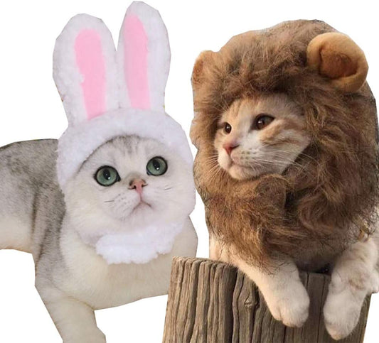 Cat Costume - Lion's Mane & Bunny 2 Pack
