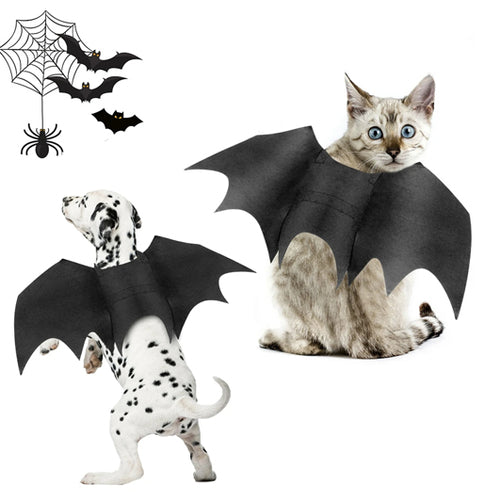 Bat Wings Pet Costume - Spooky & Adorable! 🦇